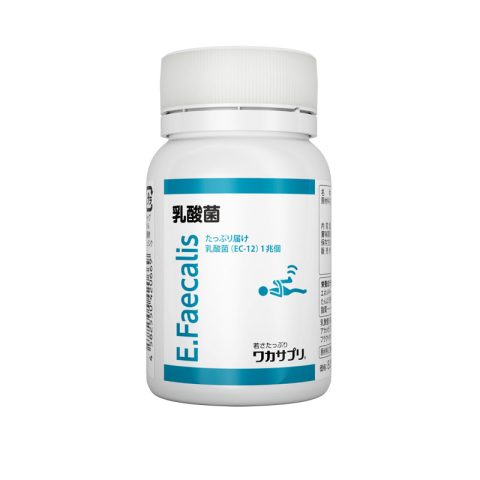 分子生理化学研究所 乳酸菌