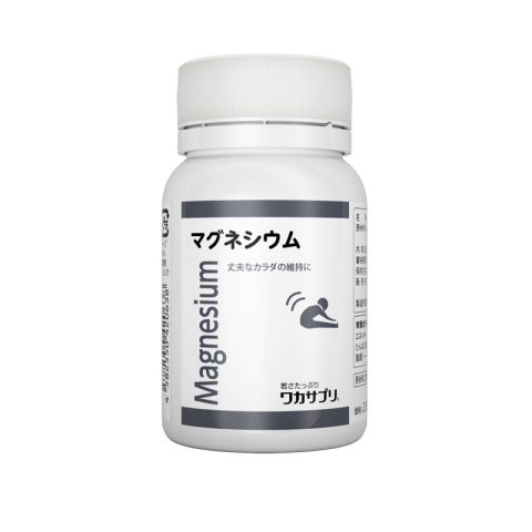 分子生理化学研究所 镁片